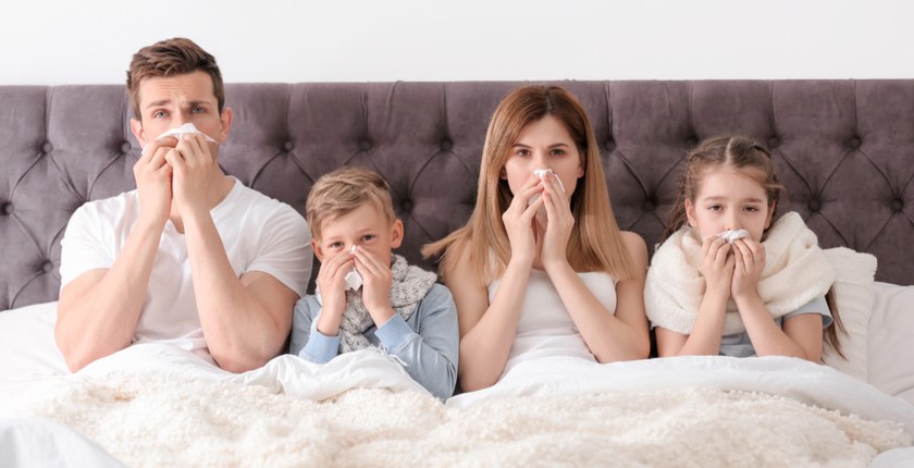How to Decrease Dust Mites