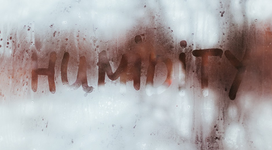 What’s the Best Humidity Level For Your Home, and How Do You Control It?